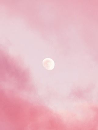 pink moon